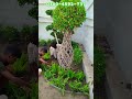 Farm House Landscaping Design 🌿Live Work by My Professional Team Creative World Landscaping Pakistan