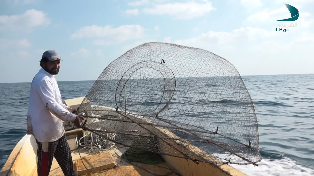 محادق الشرقية | صيد القراقير - النوخذة راشد البلوشي - الحلقة 6