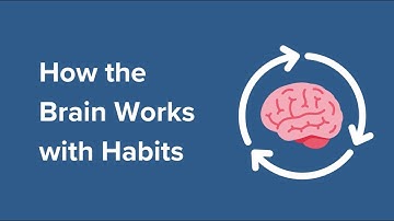 How the Brain Works with Habits