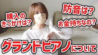 親として本気で悩んだグランドピアノ購入についてお話しします。