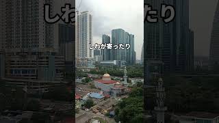 写真うつりが悪くなる理由　#shorts#雑学#独特#解説#写真　NoLang(no-com)