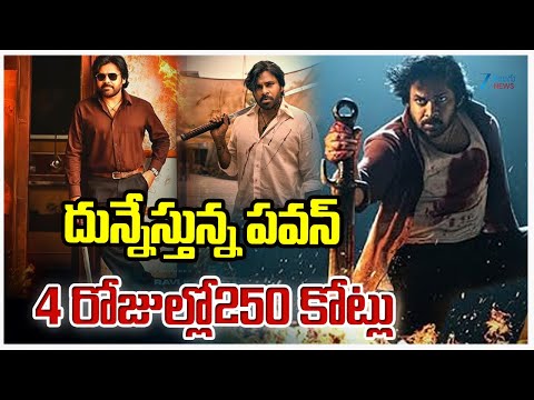 OG Box Office Collection | Pawan Kalyan | Sujeeth | Thaman |దున్నేస్తున్న పవన్  4 రోజుల్లో250 కోట్లు - ZEE24TELUGUNEWS