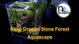 Dragon Stone Forest Aquascape #aquarium #aquascape #aquascaping #freshwater #freshwateraquarium