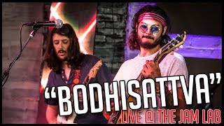 "Bodhisattva" (Steely Dan) LIVE at The Jam Lab