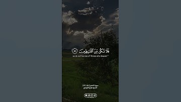 من سورة الحجر … الشيخ هزاع البلوشي | #الله #allah #القران_الكريم #القرآن_الكريم #foryou #اكسبلور#fyp