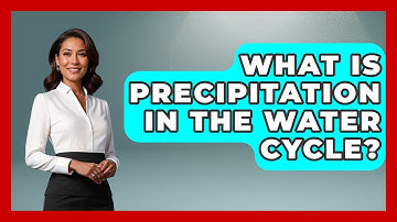 What Is Precipitation in the Water Cycle? | Explaining Ecology News