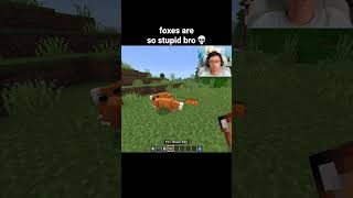 Minecraft Fox Moment