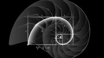 CMSC 341 Binomial Heaps, Fibonacci Heaps