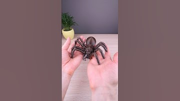 3D printed spiders #spiderman