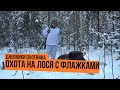 Охота на лося с флажками \ Дневники охотника \ Сезон 2