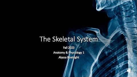 Skeletal System PPT