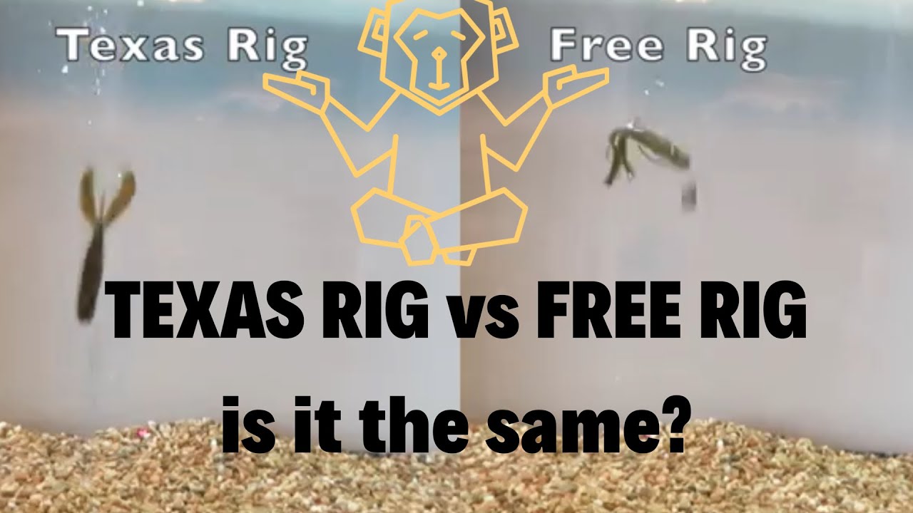 Free Rig vs Texas Rig UNDERWATER TEST 