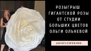 Розыгрыш гигантской розы между участницами мастер-класса Ольги Ольневой Розыгрыш гигантской розы между участницами мастер-класса Ольги Ольневой