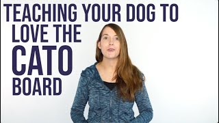 Teaching your dog to LOVE the Cato Board - intro to platform training for your dog.
