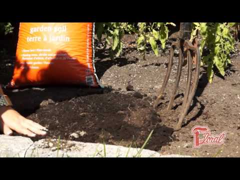 Vidéo: Qu'est-ce que l'aération du sol : comment aérer le sol dans le jardin