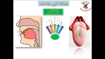 تعلم قراءة القرآن وقواعد التجويد - صفات الحروف - صفة التفشى