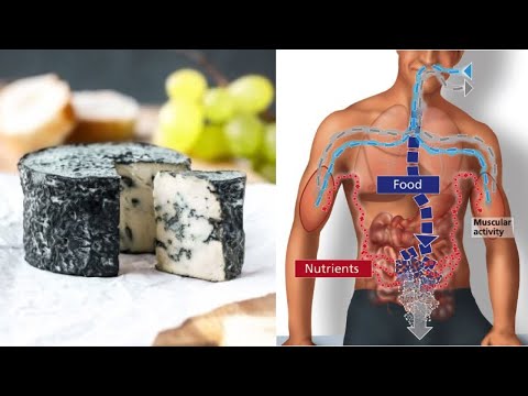 וִידֵאוֹ: היתרונות והנזקים של גבינה כחולה