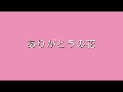 ありがとうの花