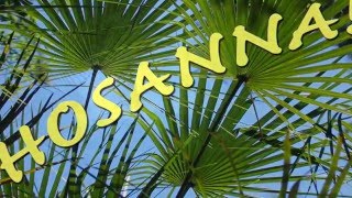 Video thumbnail of "Hosanna Saint le Seigneur - Chant pour la fête des Rameaux"