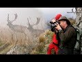 The New  Zealand Adventure  - Stalking Fallow Deer