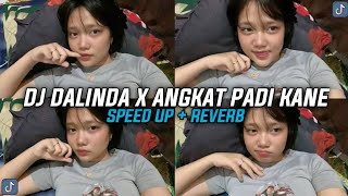 DJ DALINDA X ANGKAT PADI KANEE BY ZAINI FVNKY (SPEED UP   REVERB)