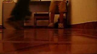 vitinho e wil no rebolation PARTE 3