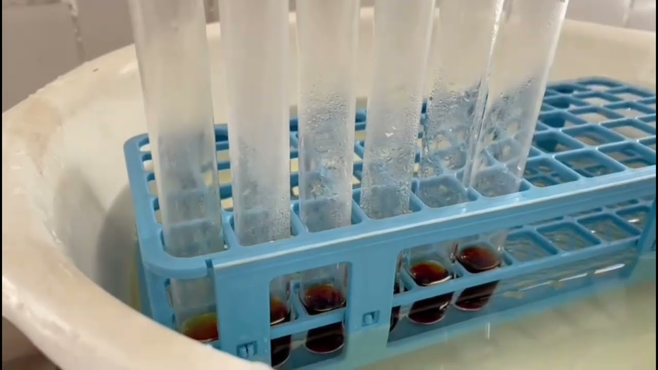 TP1-3  Biochimie : Détermination de la vitesse initiale d'une réaction enzymatique