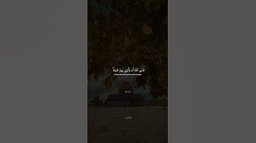 فصبر جميل القارئ محمد هشام  #اكسبلور #قرآن #quran