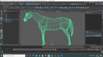 Maya Horse Rigging Part1