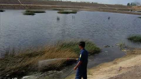 Xu lý mùi hôi bai rac.mpg