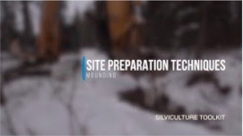 Silviculture Toolkit - MOUNDING