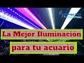 ¿Cómo calcular los lúmenes para mi acuario?/ iluminación para acuarios