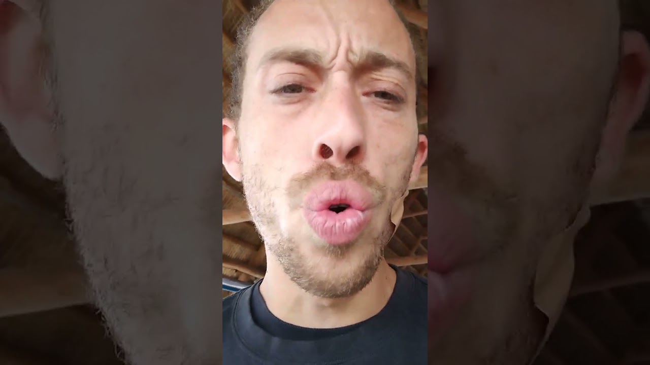 White widow mellow fellow Delta 8 10  CBD and cbg