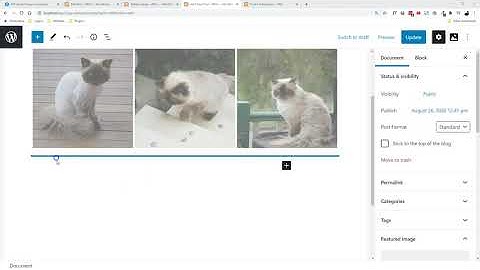 How to quickly add images with the Gutenberg Block Editor