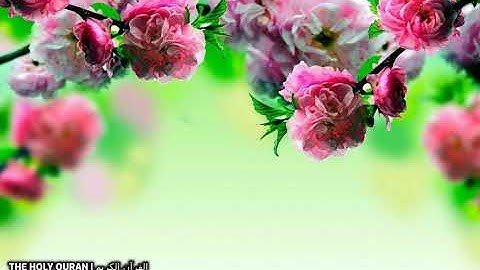 #سورة_السجدة  بصوت القارئ اسامة صبحي حسين #تلاوة #القرآن_الكريم #قرآن #القرآن #قران