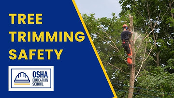 Tree Trimming | Safety Training |  Workplace Safety Certification