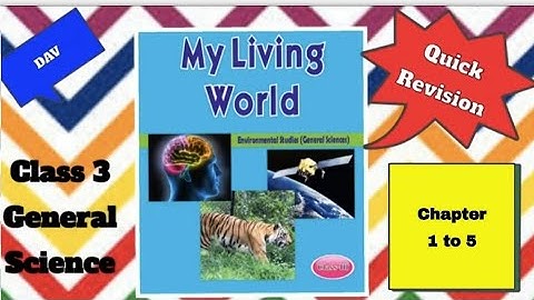 Quick Revision General Science Class 3 |Chapter 1 to 5 |Half Yearly exam revision #dav