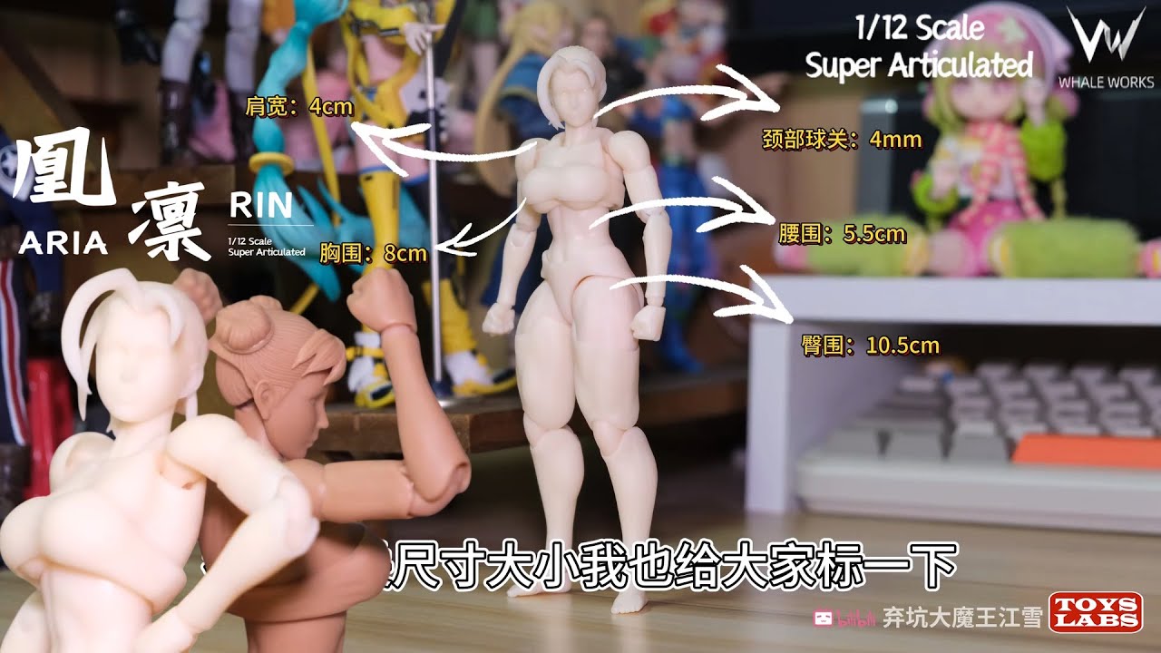 鲸工坊女素体Whale Works 1/12 Super Articulate figures Aria & Rin