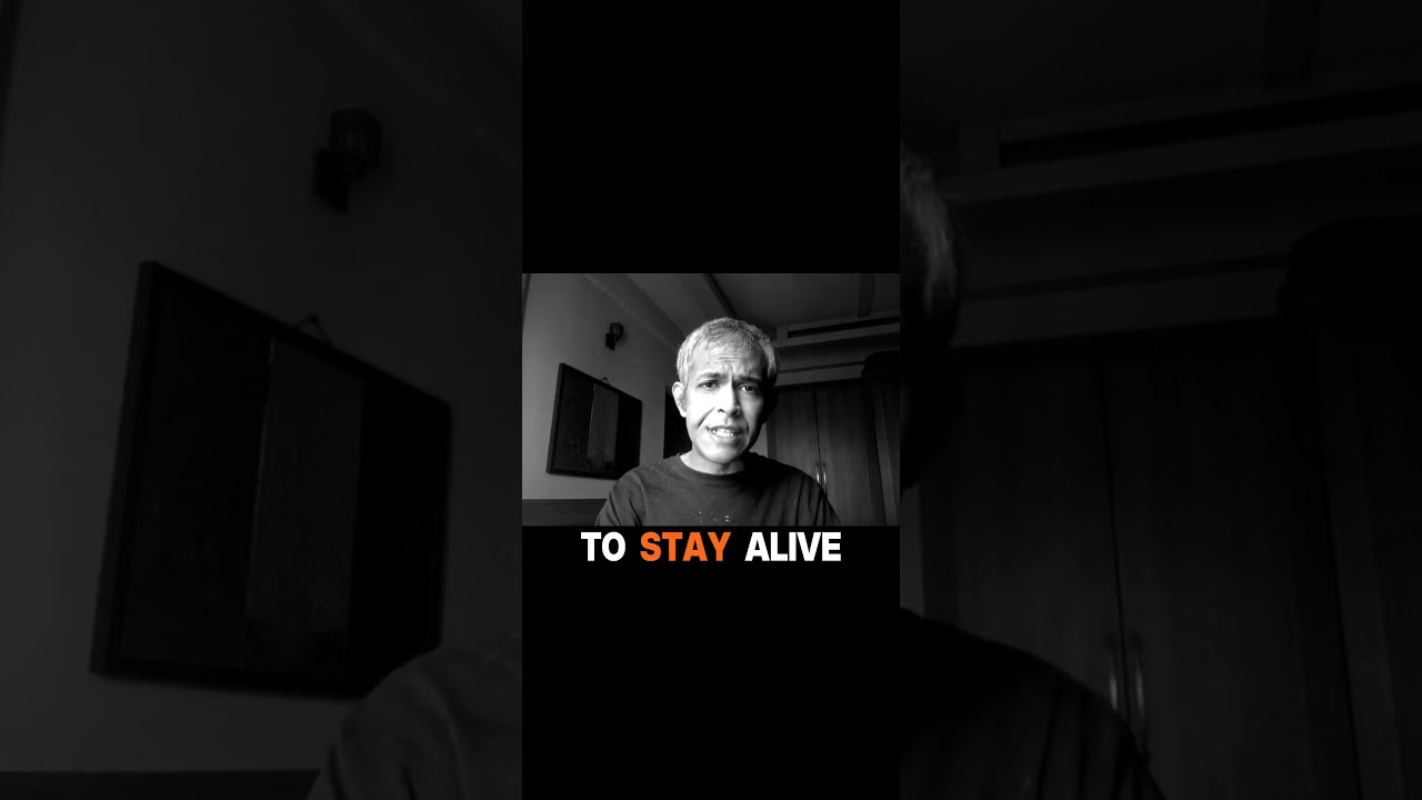 Еда, жилье, образование и здравоохранение должны быть основными правами человека. 