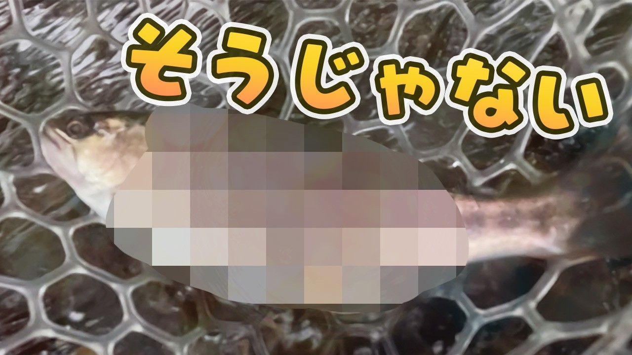 大物ヤマメを求めてオホーツクの川で釣りした結果…【北海道渓流釣り】