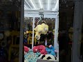 Capit Boneka Beruang Putih Cantik Jumbo dari Giant House | CMT Claw Machine #shorts