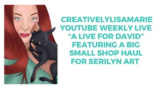 #youtubeweeklylives BIG Small Shop Haul from @SerilynArt + exciting news!