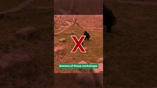 Can I Become Data Analyst in 3 Days?