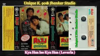 Kya Hua Ise Kya Hua, Raju Ban Gaya Gentleman, 1992, With Jhankar Beat, Kumar Sanu,Alka Yagnik,Jolly.