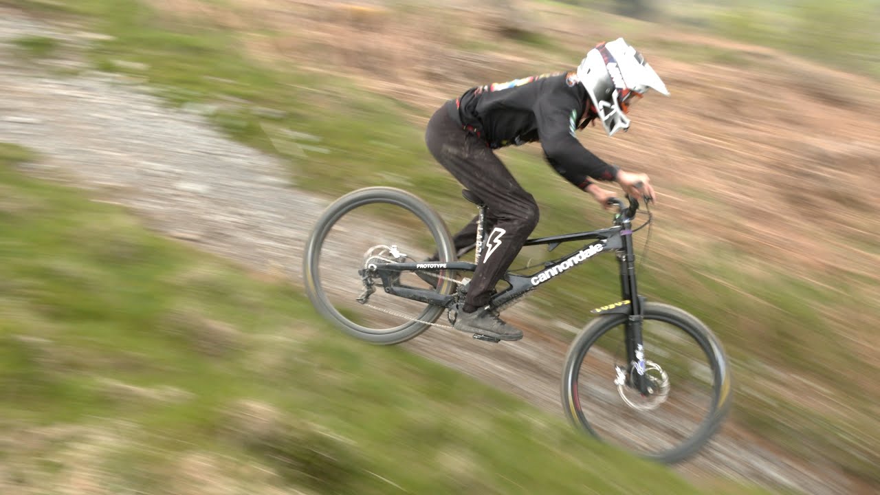 КРЫСА В ЦВЕТУ (50to01)