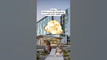 CAT MEMES 🐱 when you get misunderstood by your sister