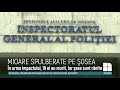 Un șofer a făcut PRĂPĂD pe șoseaua Chișinău-Hîncești. A OMORÂT 19 oi, iar altele 6 au fost rănite