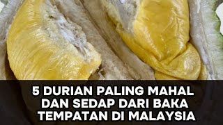 5 Durian Termahal Tersedap Di Malaysia Yang Anda Patut Cuba Pada Tahun Ini Black Thorn Musang king