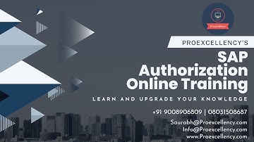 SAP Authorization: Online Training for Beginners With rea[ time trainer