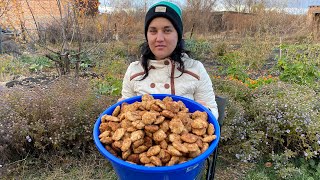 картинка: 17 кг Котлет и Ведро пюре на 5 человек!!!!Котлеты Куриные!!!!Саратов!!!